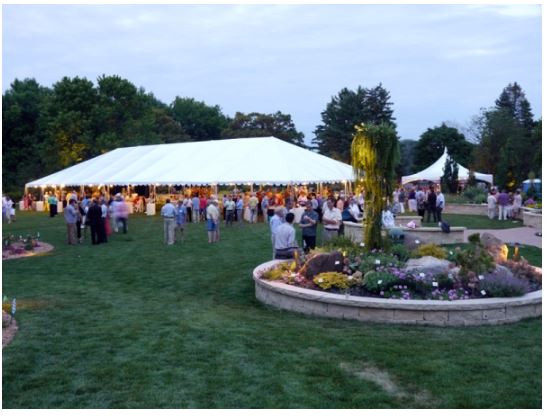 Dousman Party Rentals - Mad Fox Party