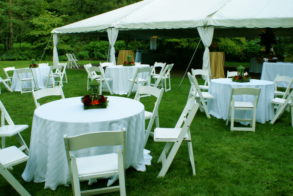 Bridal Shower Party Rental Packages in Wisconsin